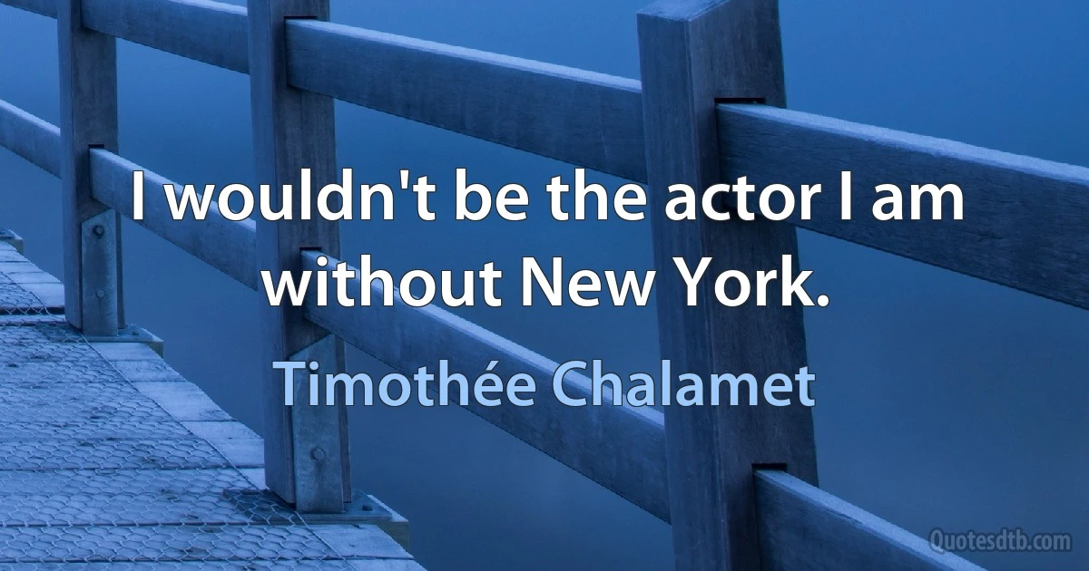 I wouldn't be the actor I am without New York. (Timothée Chalamet)