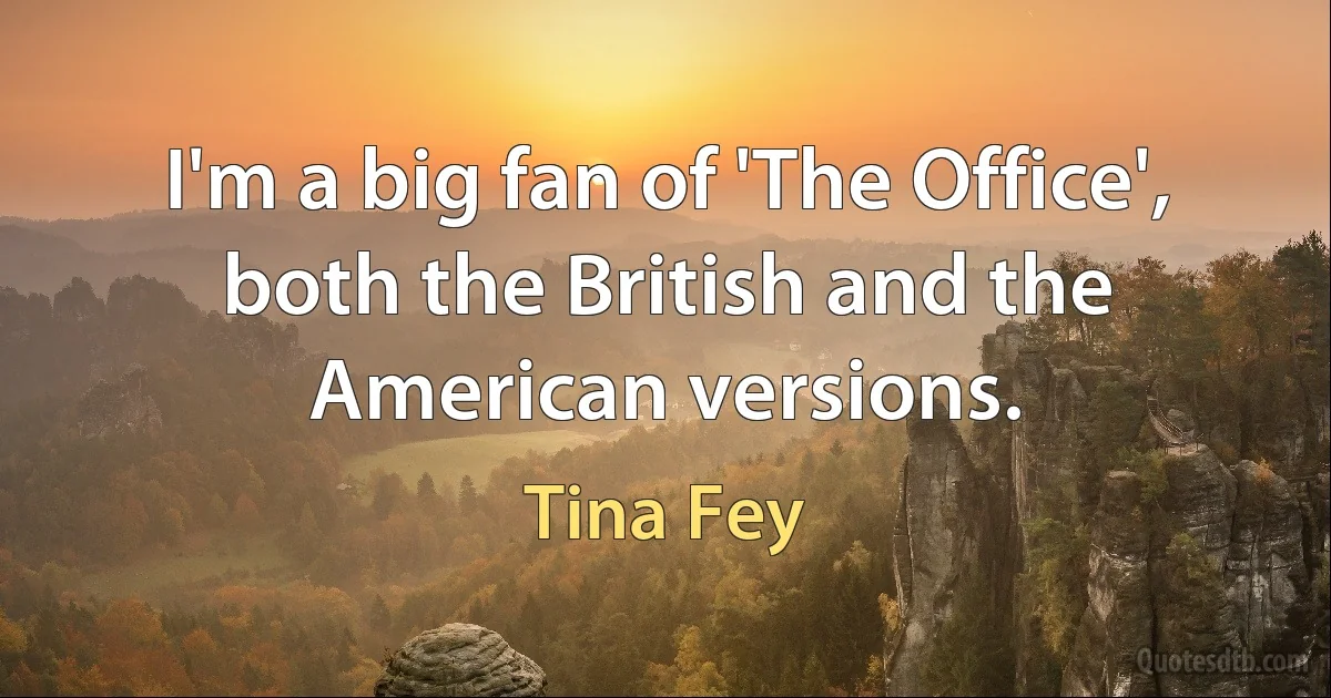 I'm a big fan of 'The Office', both the British and the American versions. (Tina Fey)