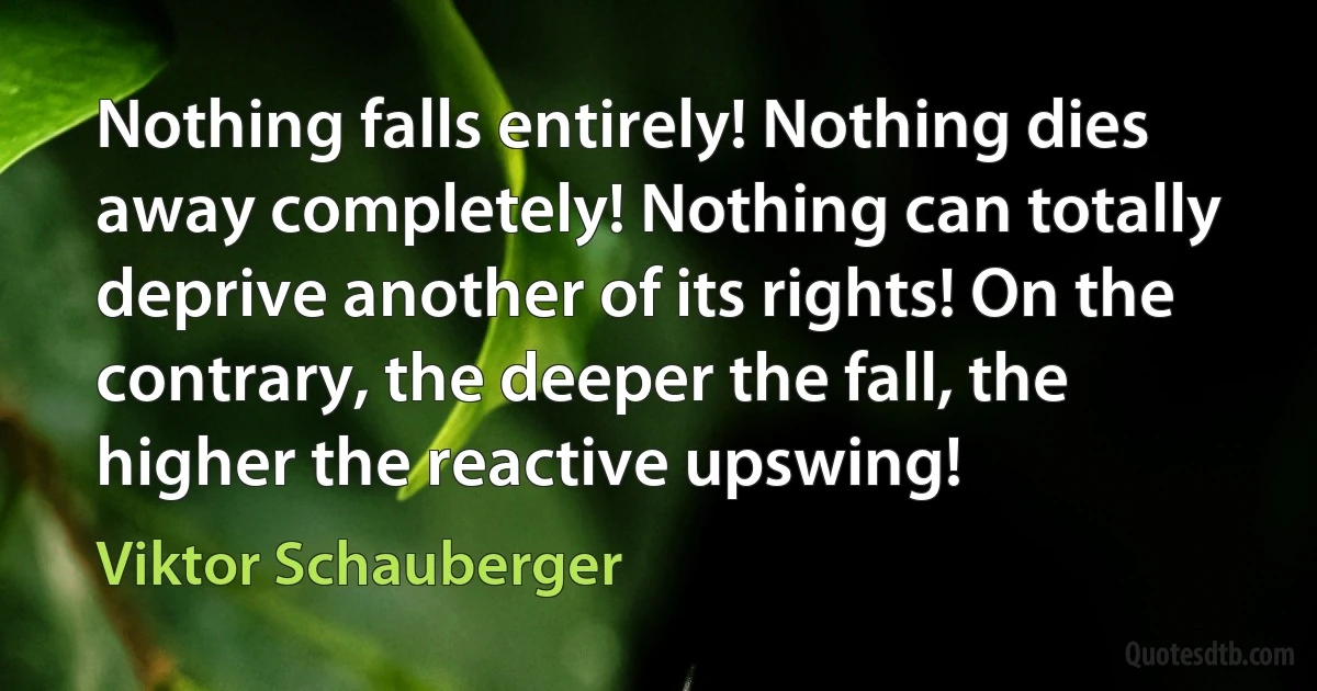 Nothing falls entirely! Nothing dies away completely! Nothing can totally deprive another of its rights! On the contrary, the deeper the fall, the higher the reactive upswing! (Viktor Schauberger)