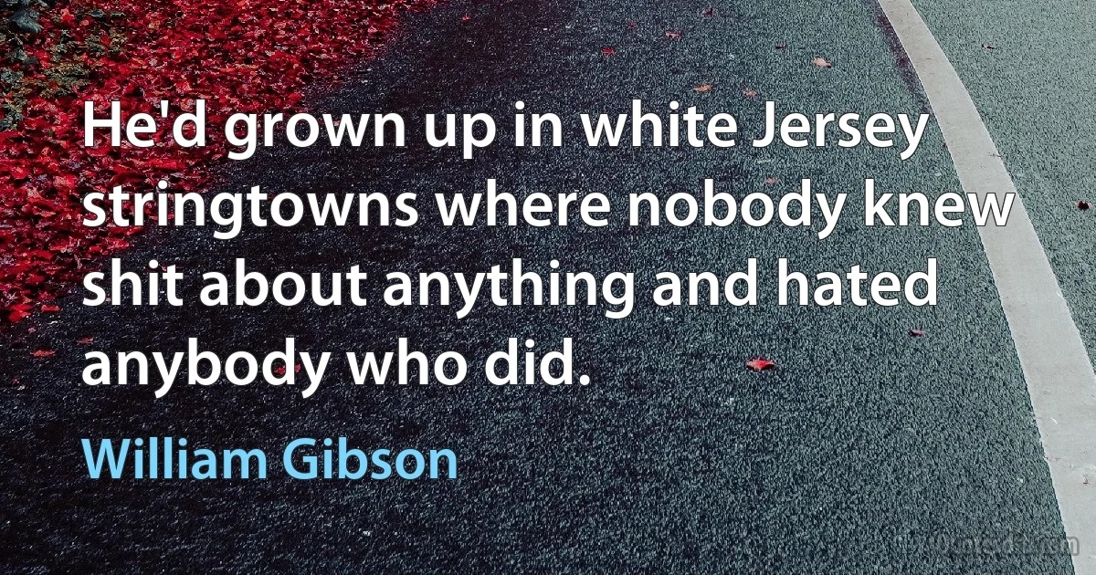 He'd grown up in white Jersey stringtowns where nobody knew shit about anything and hated anybody who did. (William Gibson)