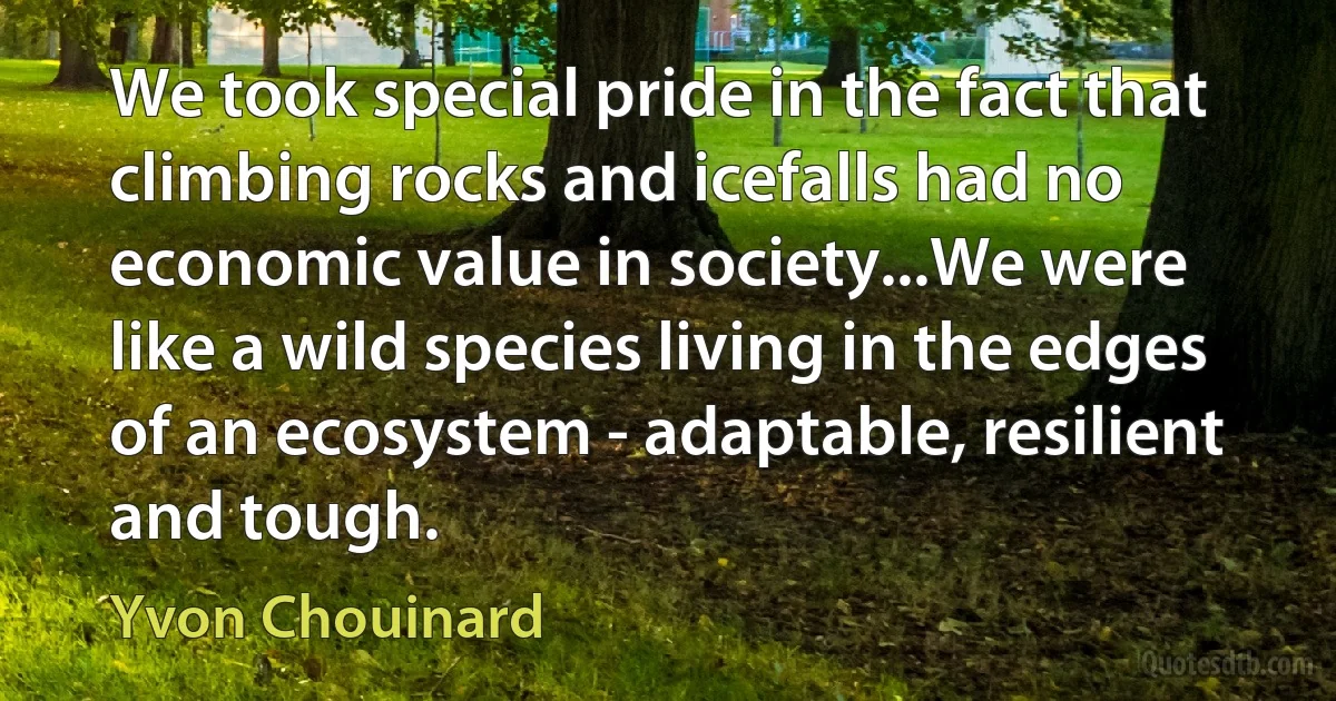 We took special pride in the fact that climbing rocks and icefalls had no economic value in society...We were like a wild species living in the edges of an ecosystem - adaptable, resilient and tough. (Yvon Chouinard)