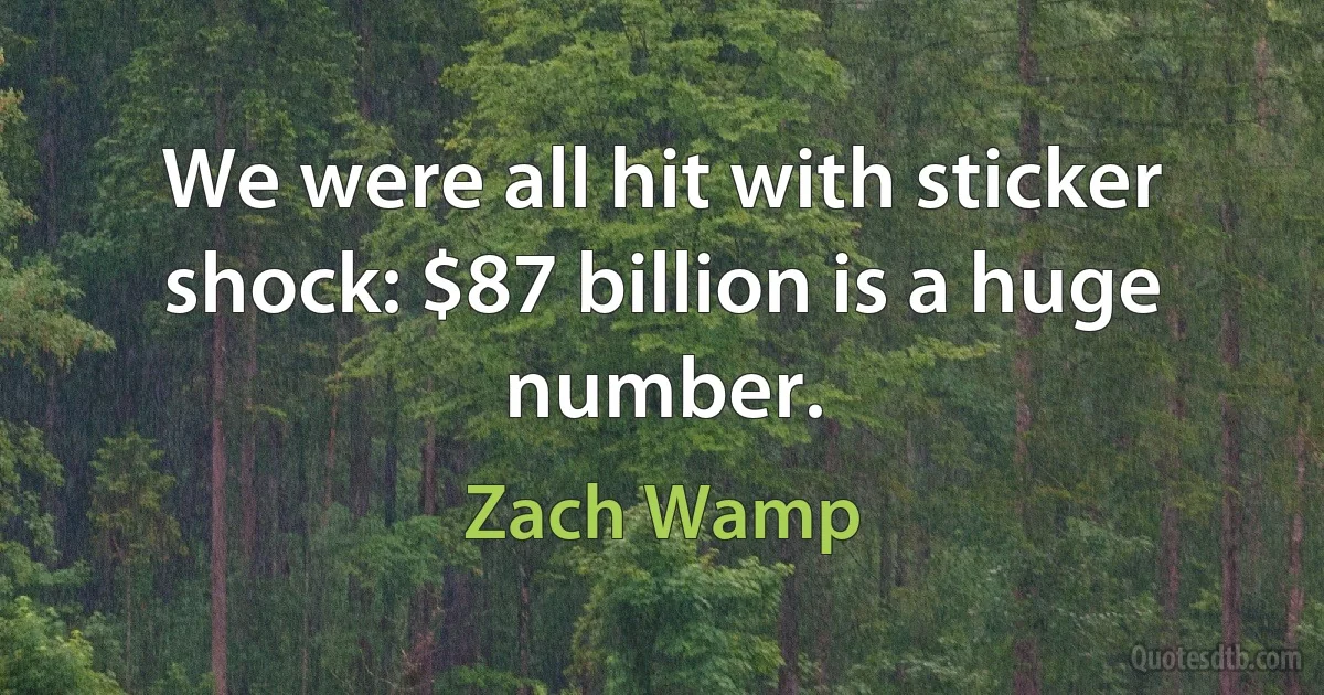 We were all hit with sticker shock: $87 billion is a huge number. (Zach Wamp)