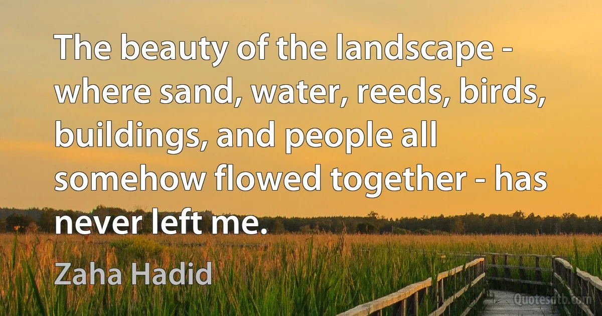 The beauty of the landscape - where sand, water, reeds, birds, buildings, and people all somehow flowed together - has never left me. (Zaha Hadid)