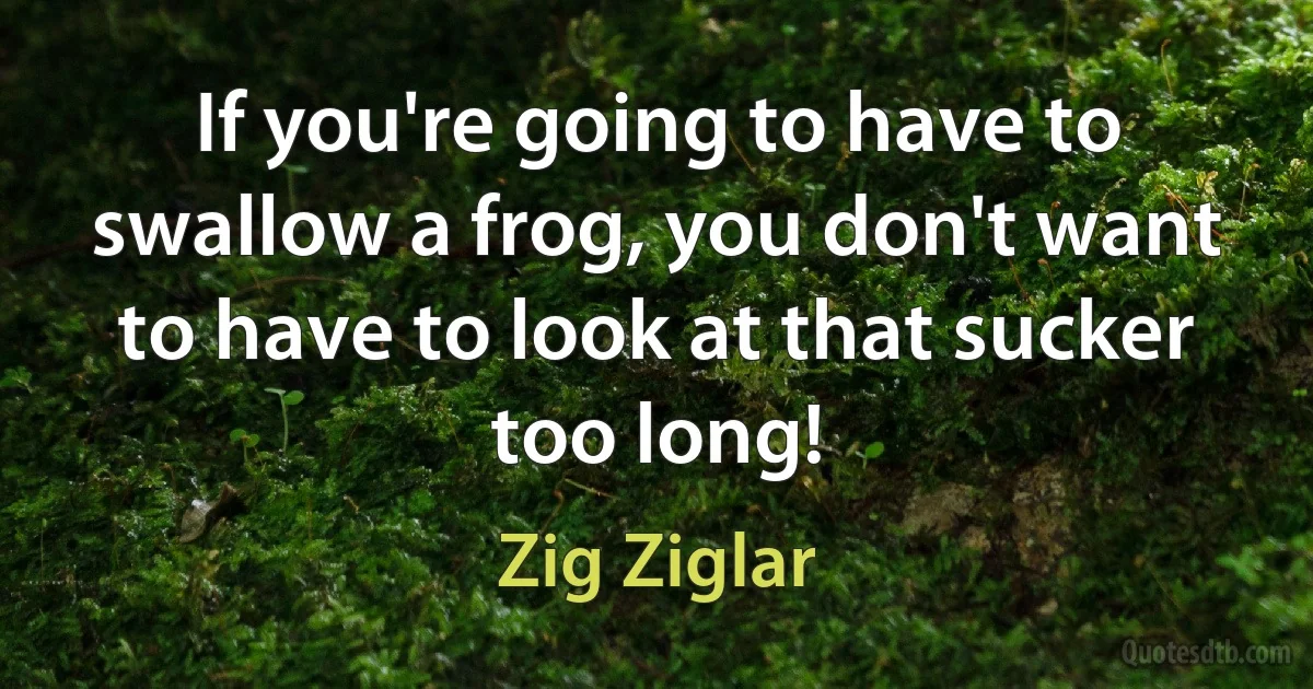 If you're going to have to swallow a frog, you don't want to have to look at that sucker too long! (Zig Ziglar)