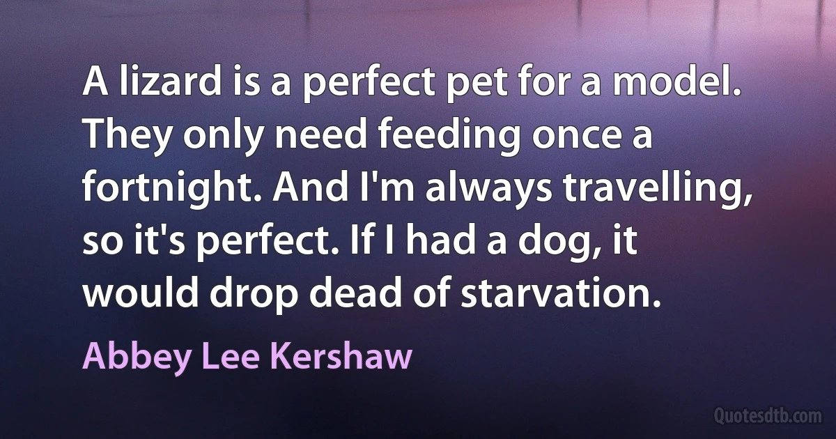 A lizard is a perfect pet for a model. They only need feeding once a fortnight. And I'm always travelling, so it's perfect. If I had a dog, it would drop dead of starvation. (Abbey Lee Kershaw)