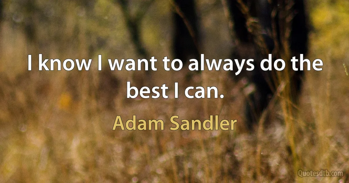 I know I want to always do the best I can. (Adam Sandler)