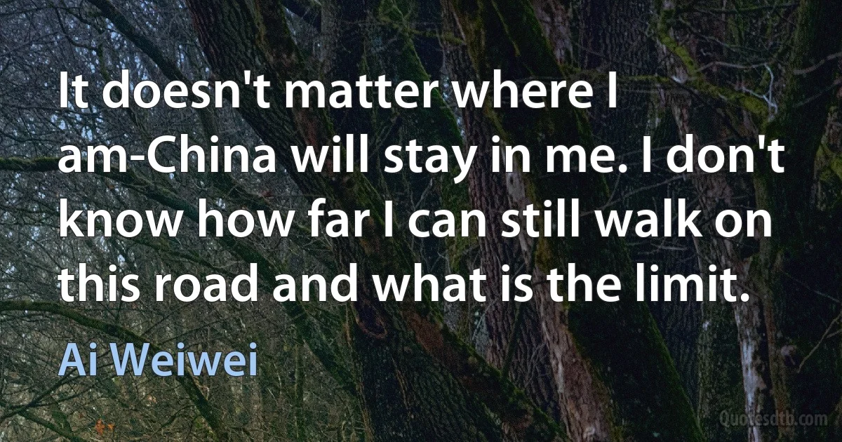 It doesn't matter where I am-China will stay in me. I don't know how far I can still walk on this road and what is the limit. (Ai Weiwei)