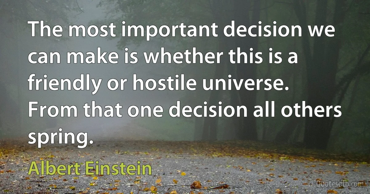 The most important decision we can make is whether this is a friendly or hostile universe. From that one decision all others spring. (Albert Einstein)