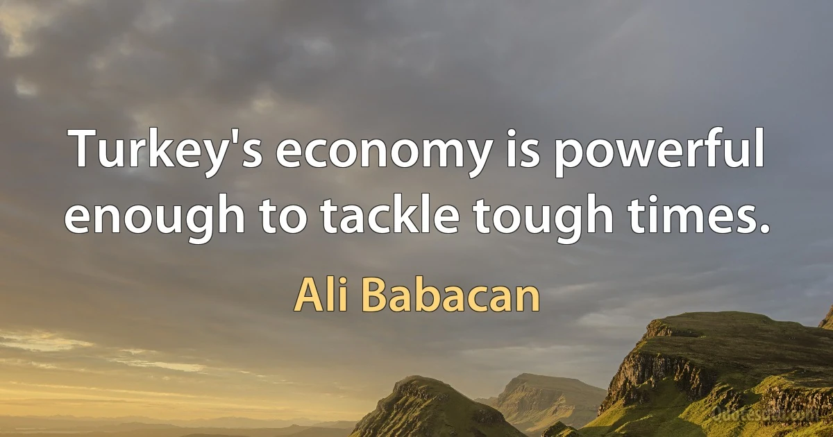 Turkey's economy is powerful enough to tackle tough times. (Ali Babacan)