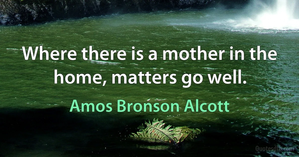 Where there is a mother in the home, matters go well. (Amos Bronson Alcott)