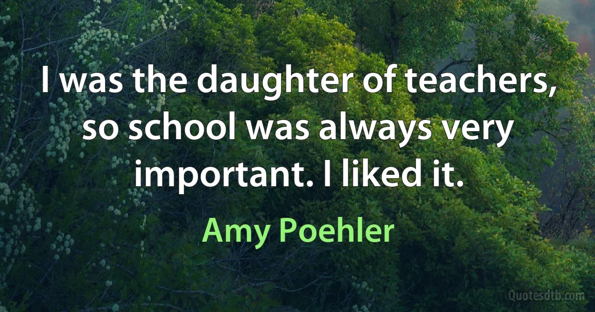 I was the daughter of teachers, so school was always very important. I liked it. (Amy Poehler)