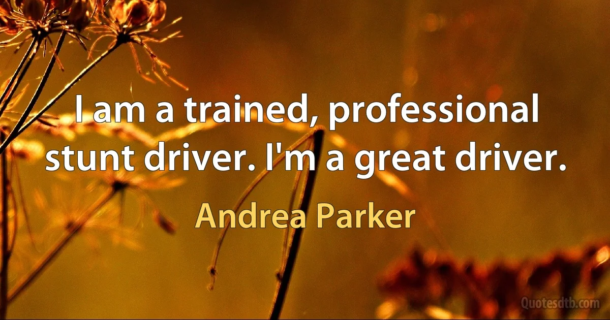 I am a trained, professional stunt driver. I'm a great driver. (Andrea Parker)