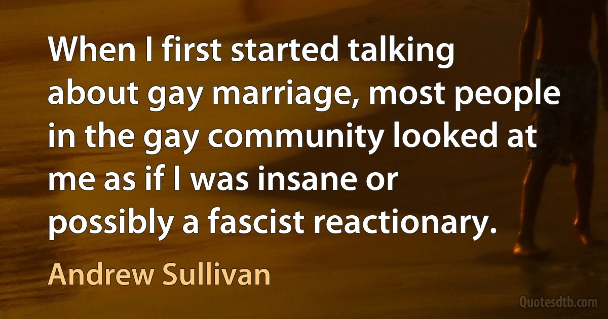 When I first started talking about gay marriage, most people in the gay community looked at me as if I was insane or possibly a fascist reactionary. (Andrew Sullivan)