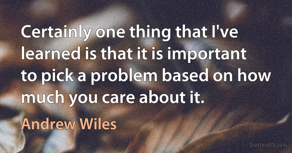 Certainly one thing that I've learned is that it is important to pick a problem based on how much you care about it. (Andrew Wiles)