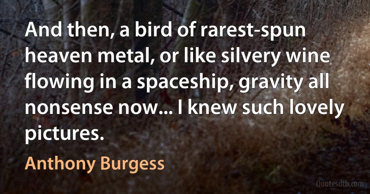 And then, a bird of rarest-spun heaven metal, or like silvery wine flowing in a spaceship, gravity all nonsense now... I knew such lovely pictures. (Anthony Burgess)