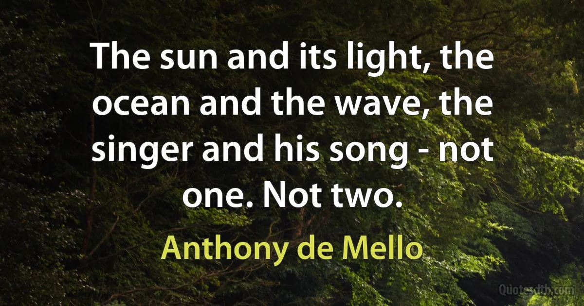 The sun and its light, the ocean and the wave, the singer and his song - not one. Not two. (Anthony de Mello)