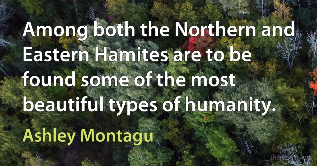 Among both the Northern and Eastern Hamites are to be found some of the most beautiful types of humanity. (Ashley Montagu)