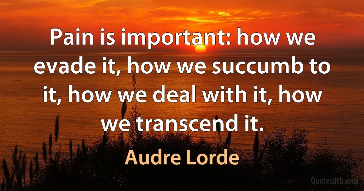 Pain is important: how we evade it, how we succumb to it, how we deal with it, how we transcend it. (Audre Lorde)