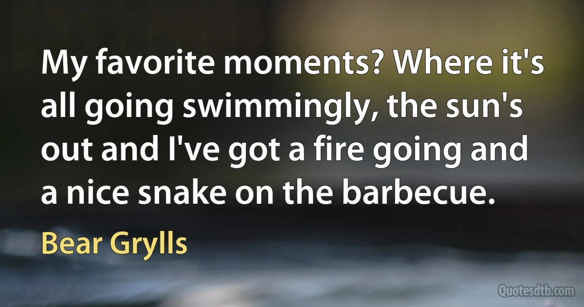 My favorite moments? Where it's all going swimmingly, the sun's out and I've got a fire going and a nice snake on the barbecue. (Bear Grylls)