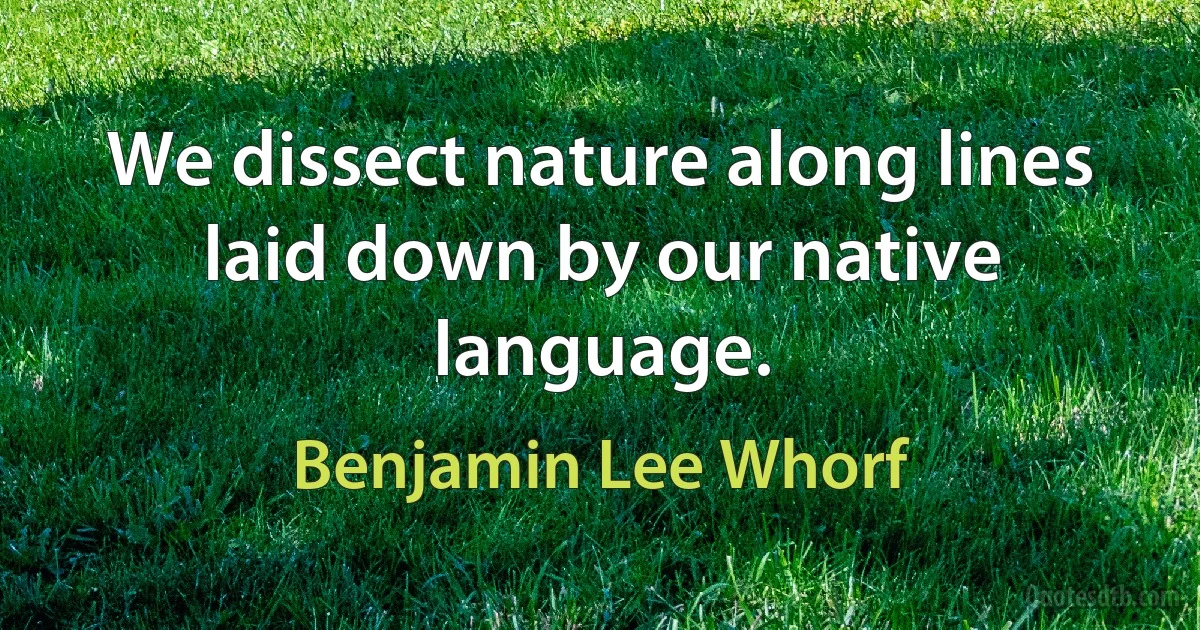 We dissect nature along lines laid down by our native language. (Benjamin Lee Whorf)