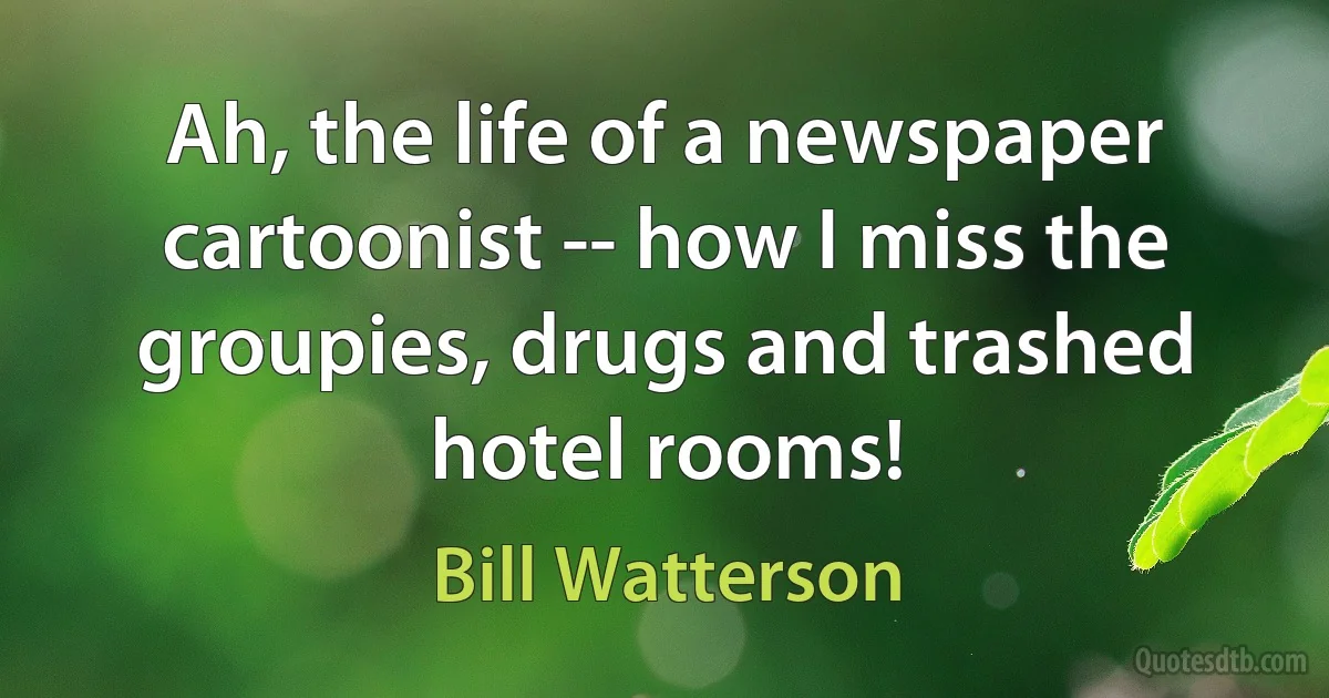 Ah, the life of a newspaper cartoonist -- how I miss the groupies, drugs and trashed hotel rooms! (Bill Watterson)