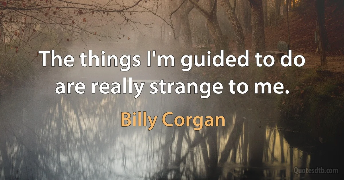 The things I'm guided to do are really strange to me. (Billy Corgan)