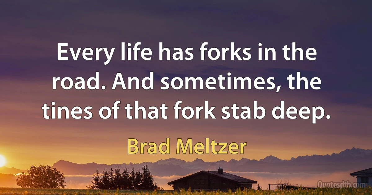 Every life has forks in the road. And sometimes, the tines of that fork stab deep. (Brad Meltzer)