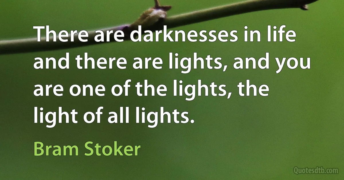 There are darknesses in life and there are lights, and you are one of the lights, the light of all lights. (Bram Stoker)