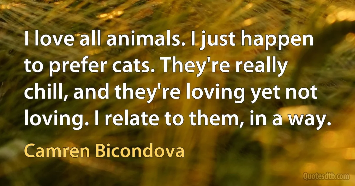 I love all animals. I just happen to prefer cats. They're really chill, and they're loving yet not loving. I relate to them, in a way. (Camren Bicondova)