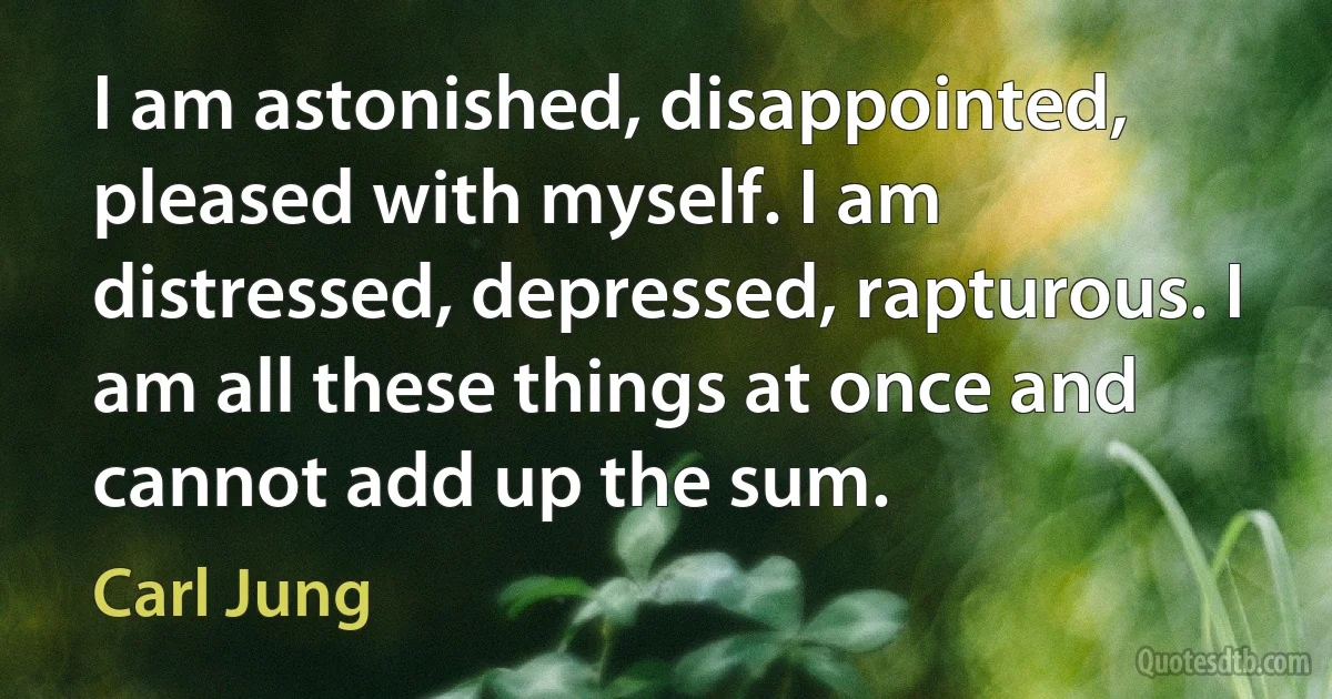 I am astonished, disappointed, pleased with myself. I am distressed, depressed, rapturous. I am all these things at once and cannot add up the sum. (Carl Jung)