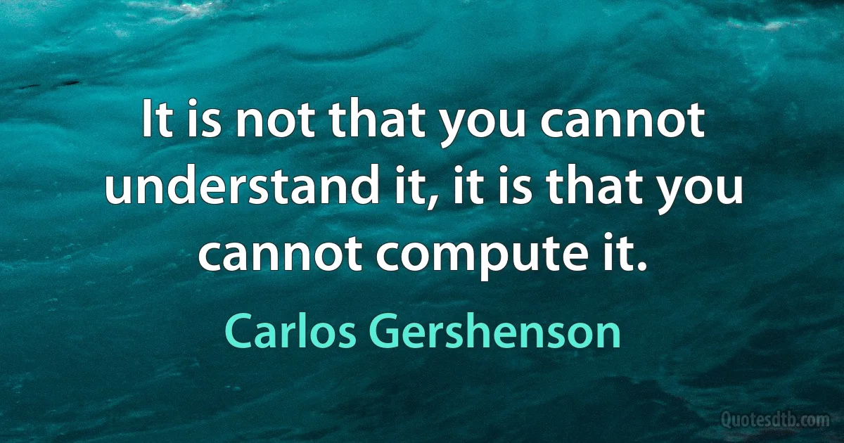 It is not that you cannot understand it, it is that you cannot compute it. (Carlos Gershenson)