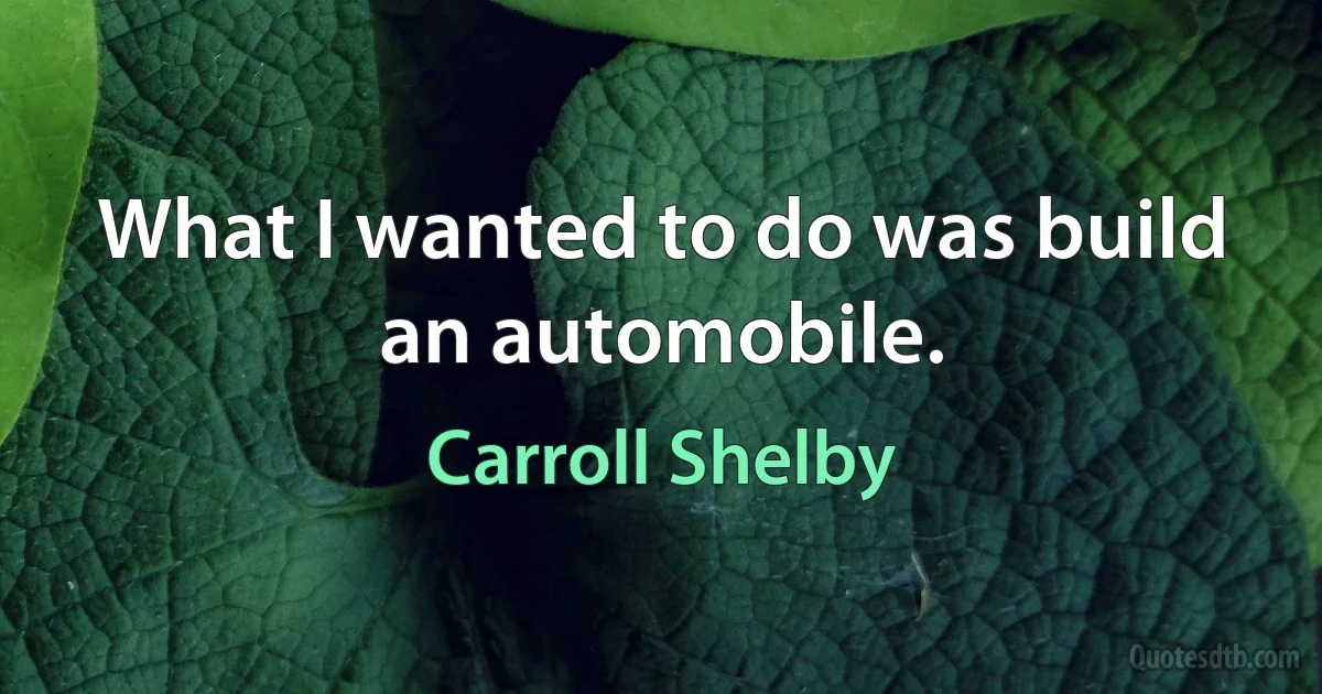 What I wanted to do was build an automobile. (Carroll Shelby)