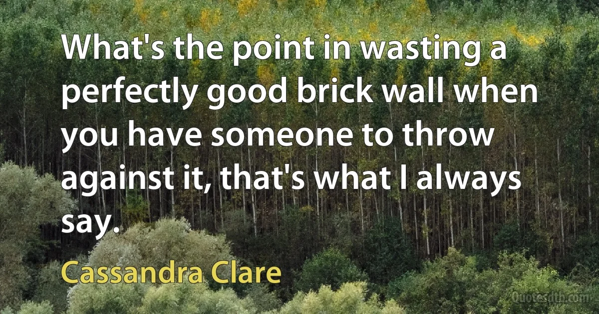 What's the point in wasting a perfectly good brick wall when you have someone to throw against it, that's what I always say. (Cassandra Clare)