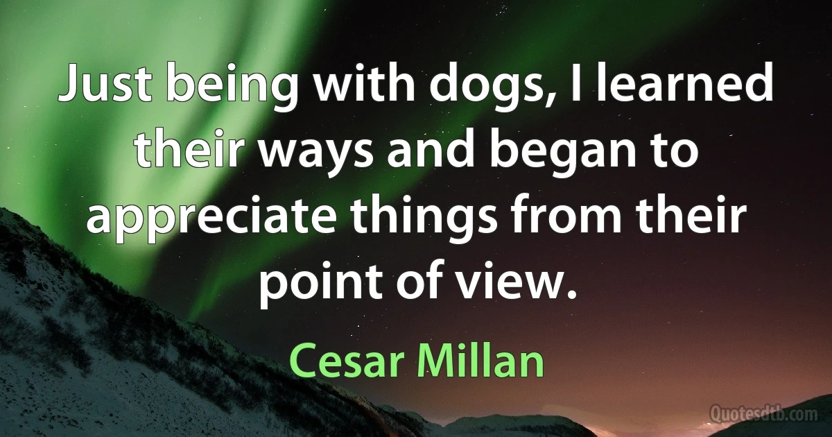 Just being with dogs, I learned their ways and began to appreciate things from their point of view. (Cesar Millan)