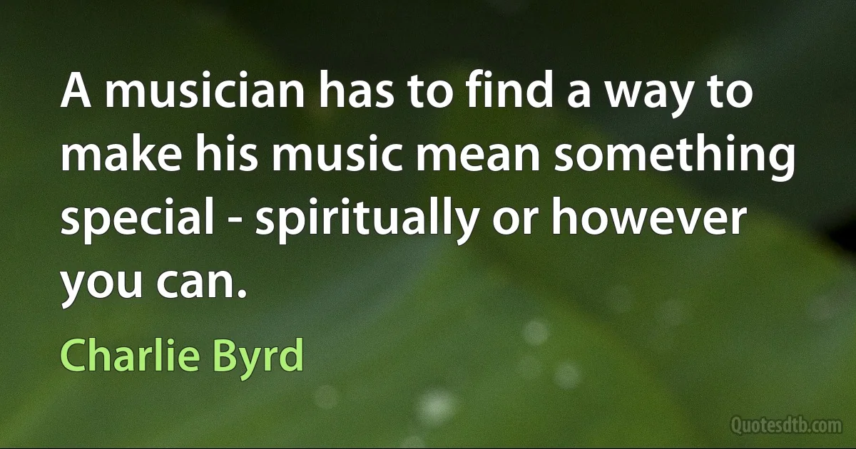 A musician has to find a way to make his music mean something special - spiritually or however you can. (Charlie Byrd)