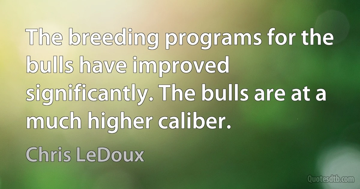 The breeding programs for the bulls have improved significantly. The bulls are at a much higher caliber. (Chris LeDoux)