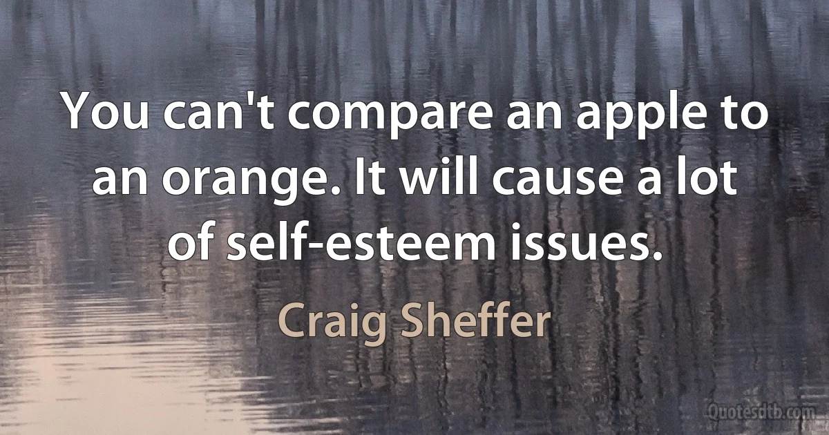 You can't compare an apple to an orange. It will cause a lot of self-esteem issues. (Craig Sheffer)