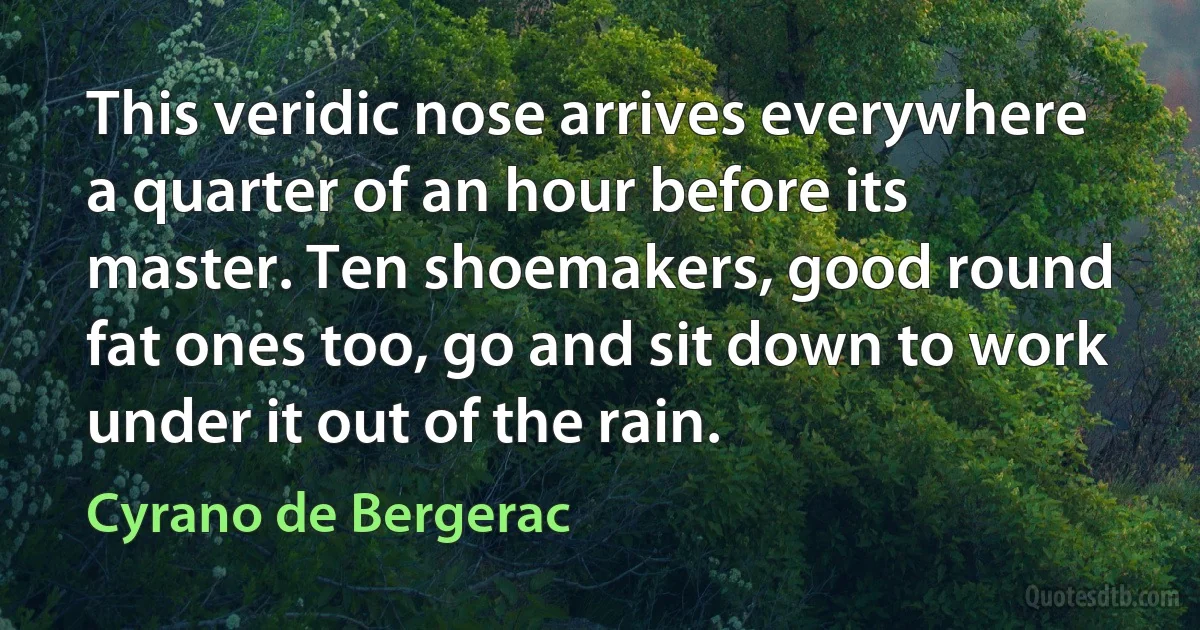 This veridic nose arrives everywhere a quarter of an hour before its master. Ten shoemakers, good round fat ones too, go and sit down to work under it out of the rain. (Cyrano de Bergerac)