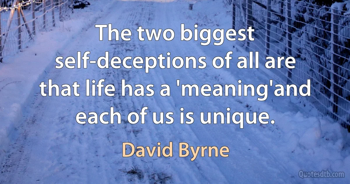 The two biggest self-deceptions of all are that life has a 'meaning'and each of us is unique. (David Byrne)