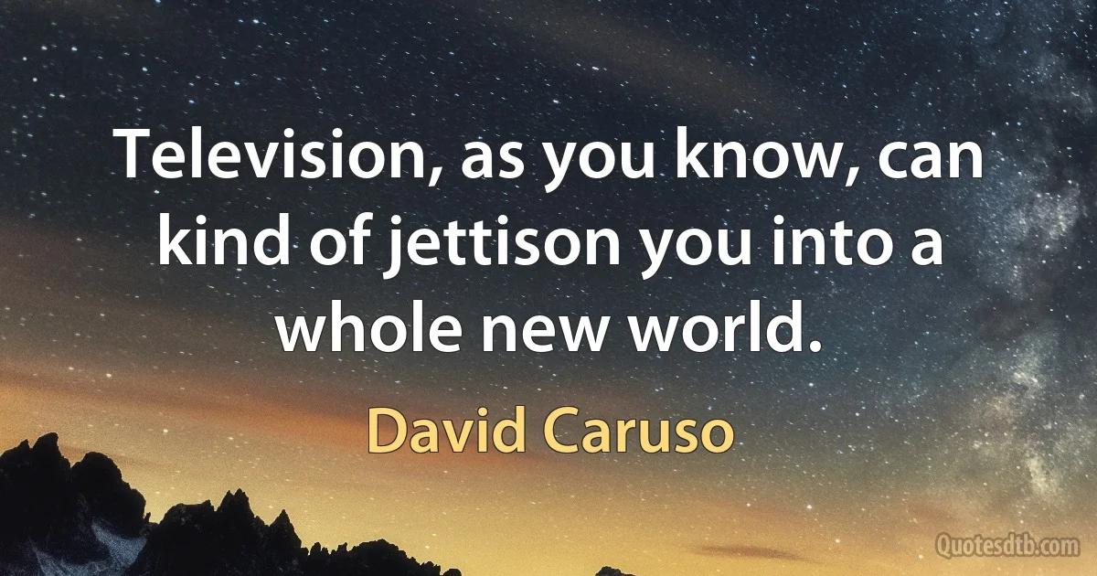 Television, as you know, can kind of jettison you into a whole new world. (David Caruso)