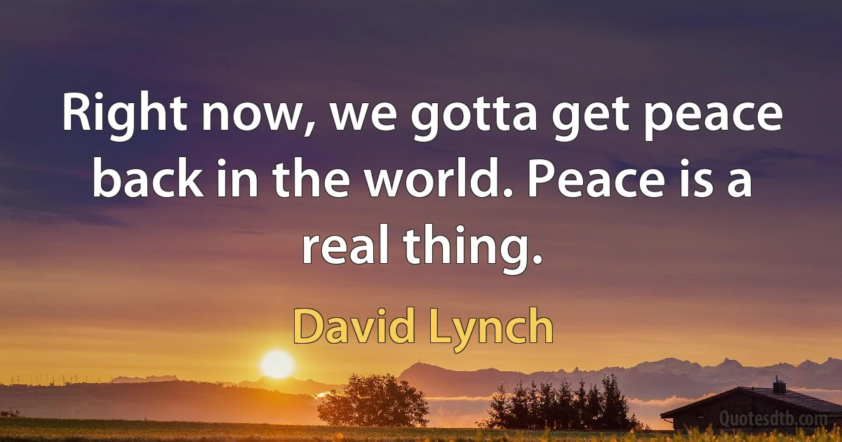 Right now, we gotta get peace back in the world. Peace is a real thing. (David Lynch)