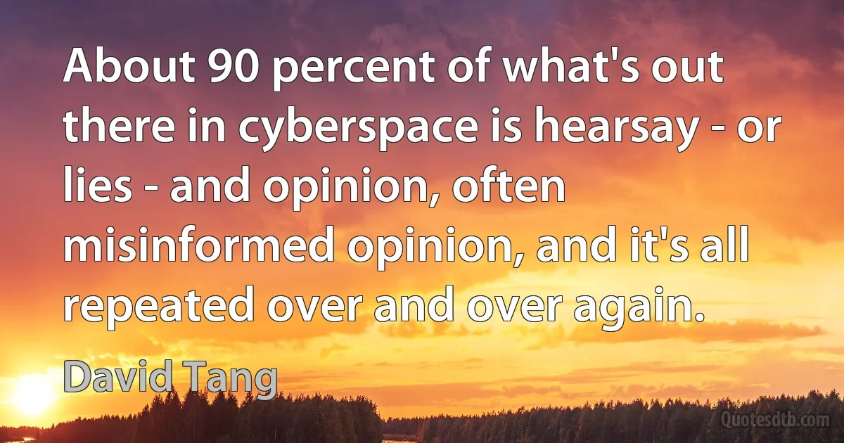 About 90 percent of what's out there in cyberspace is hearsay - or lies - and opinion, often misinformed opinion, and it's all repeated over and over again. (David Tang)