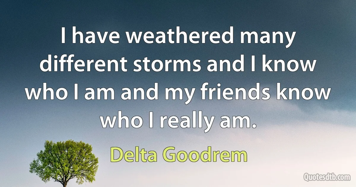 I have weathered many different storms and I know who I am and my friends know who I really am. (Delta Goodrem)