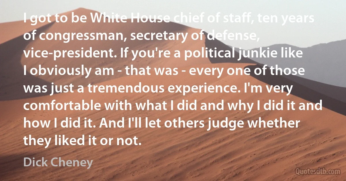 I got to be White House chief of staff, ten years of congressman, secretary of defense, vice-president. If you're a political junkie like I obviously am - that was - every one of those was just a tremendous experience. I'm very comfortable with what I did and why I did it and how I did it. And I'll let others judge whether they liked it or not. (Dick Cheney)