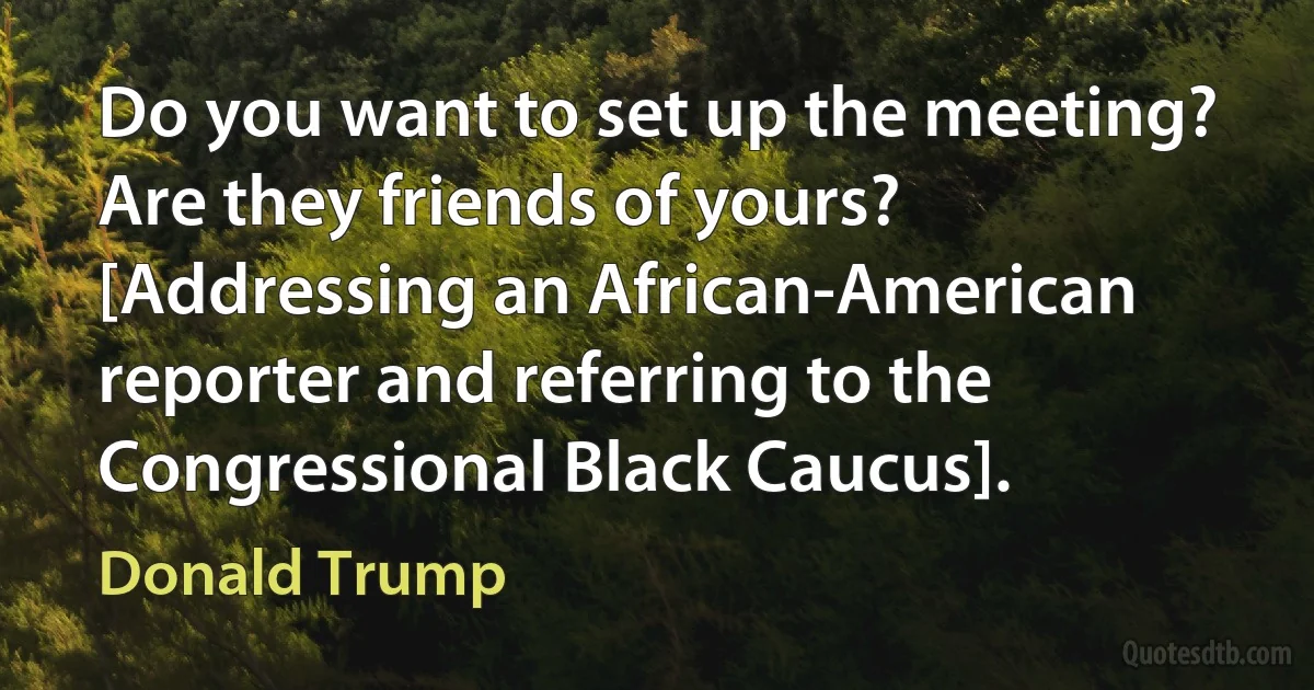 Do you want to set up the meeting? Are they friends of yours? [Addressing an African-American reporter and referring to the Congressional Black Caucus]. (Donald Trump)