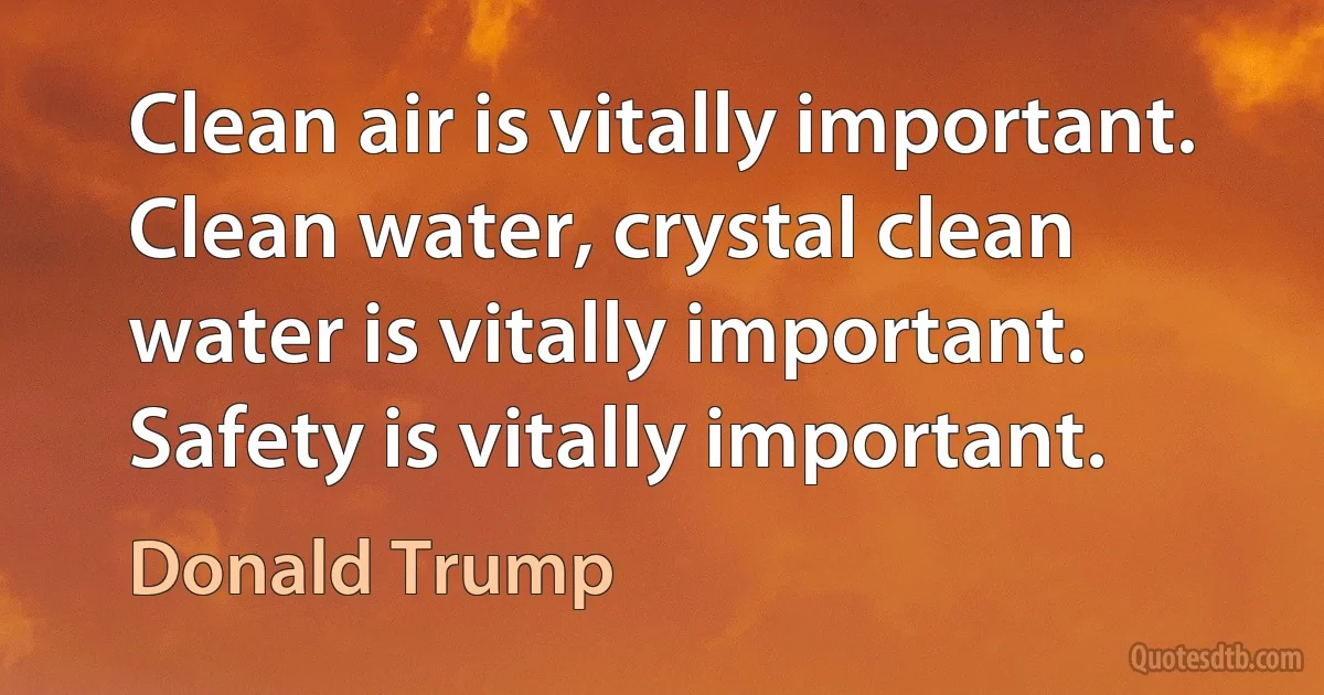 Clean air is vitally important. Clean water, crystal clean water is vitally important. Safety is vitally important. (Donald Trump)