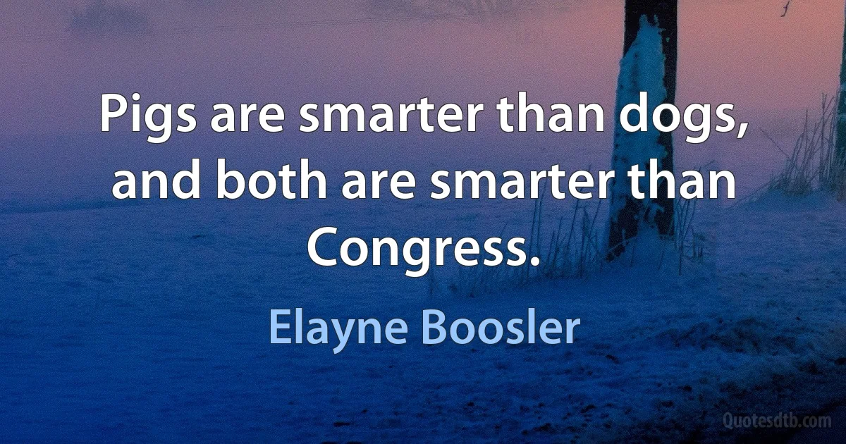 Pigs are smarter than dogs, and both are smarter than Congress. (Elayne Boosler)