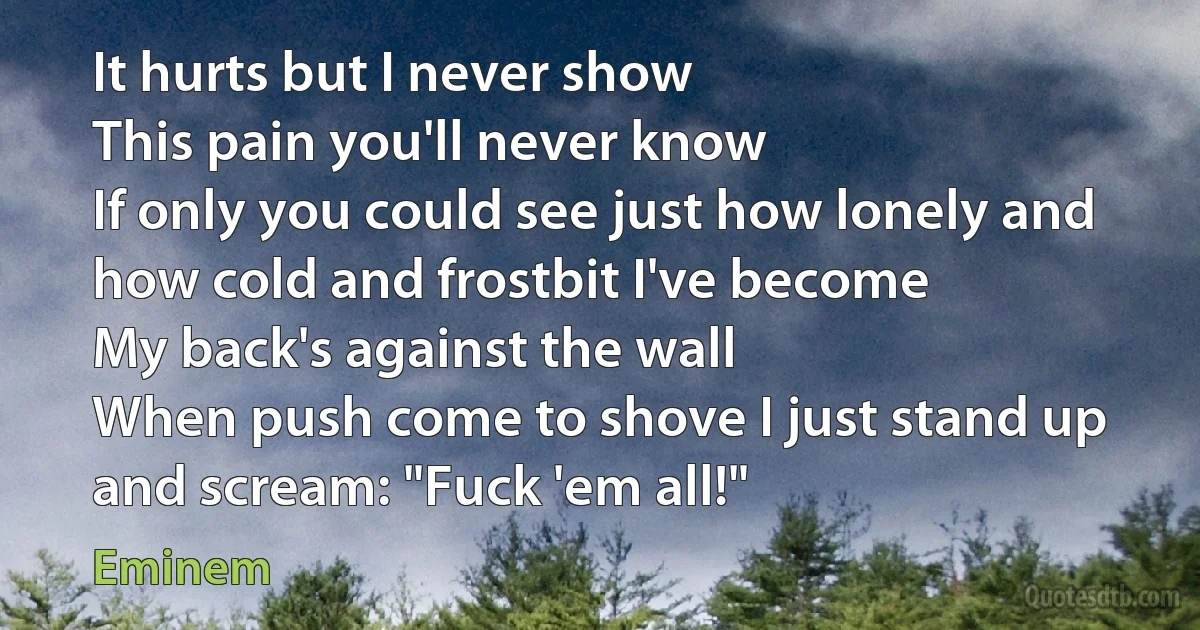 It hurts but I never show
This pain you'll never know
If only you could see just how lonely and how cold and frostbit I've become
My back's against the wall
When push come to shove I just stand up and scream: "Fuck 'em all!" (Eminem)