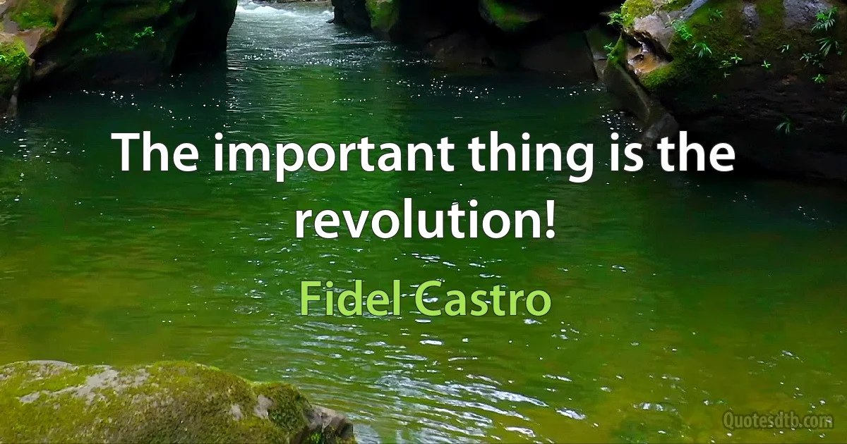 The important thing is the revolution! (Fidel Castro)