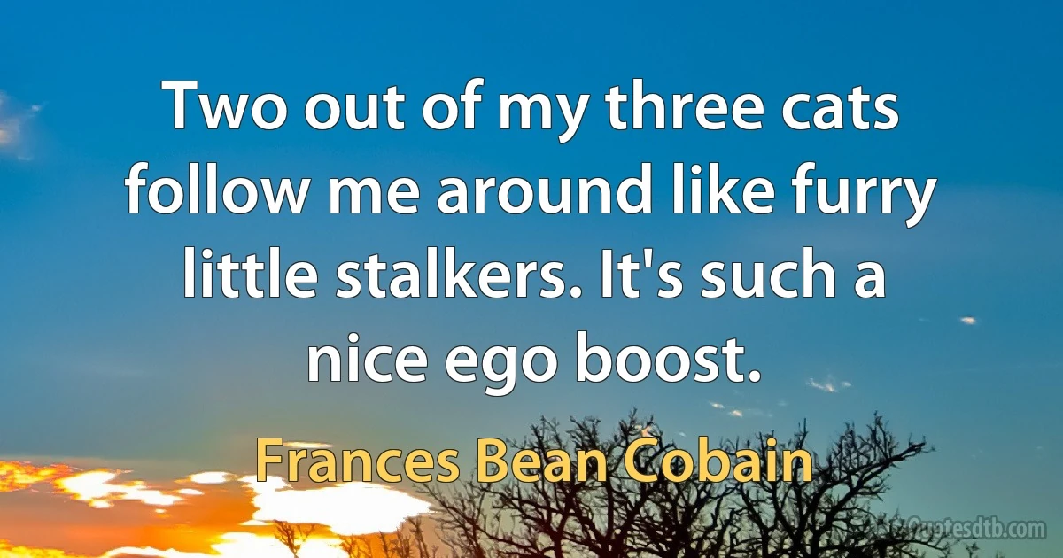 Two out of my three cats follow me around like furry little stalkers. It's such a nice ego boost. (Frances Bean Cobain)